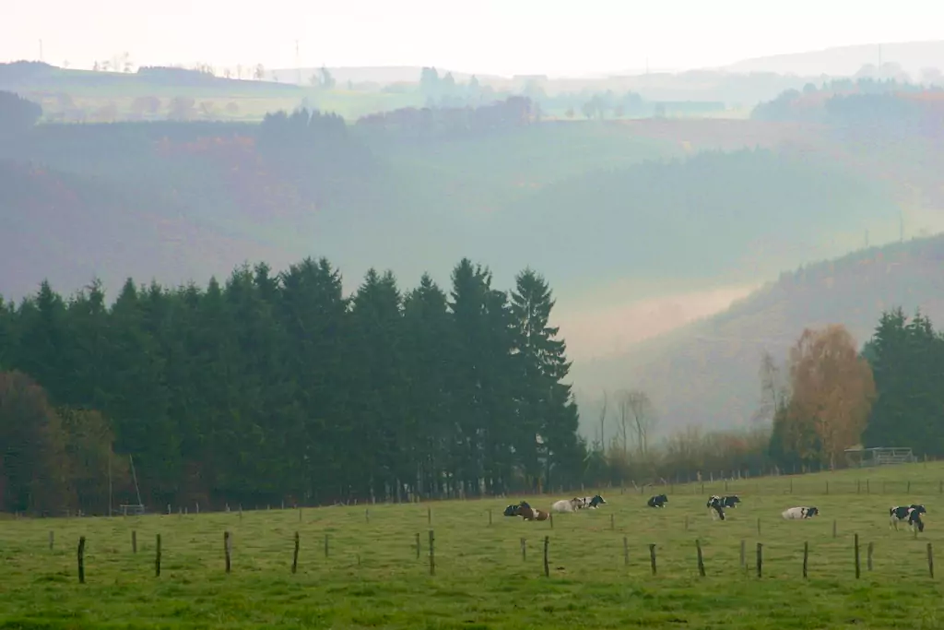 Uitzicht Belgische Ardennen Herberg La Laiterie